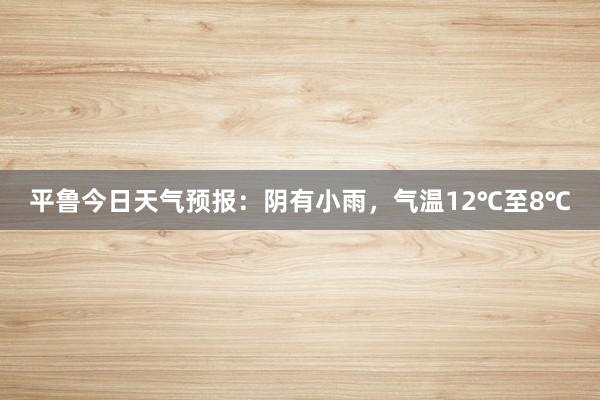 平鲁今日天气预报：阴有小雨，气温12℃至8℃